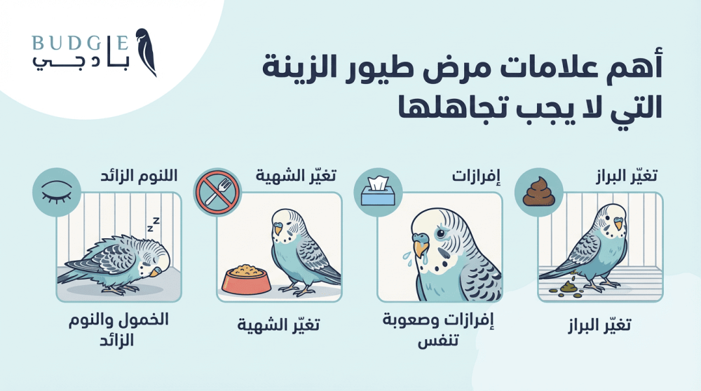 أهم علامات مرض طيور الزينة التي لا يجب تجاهلها