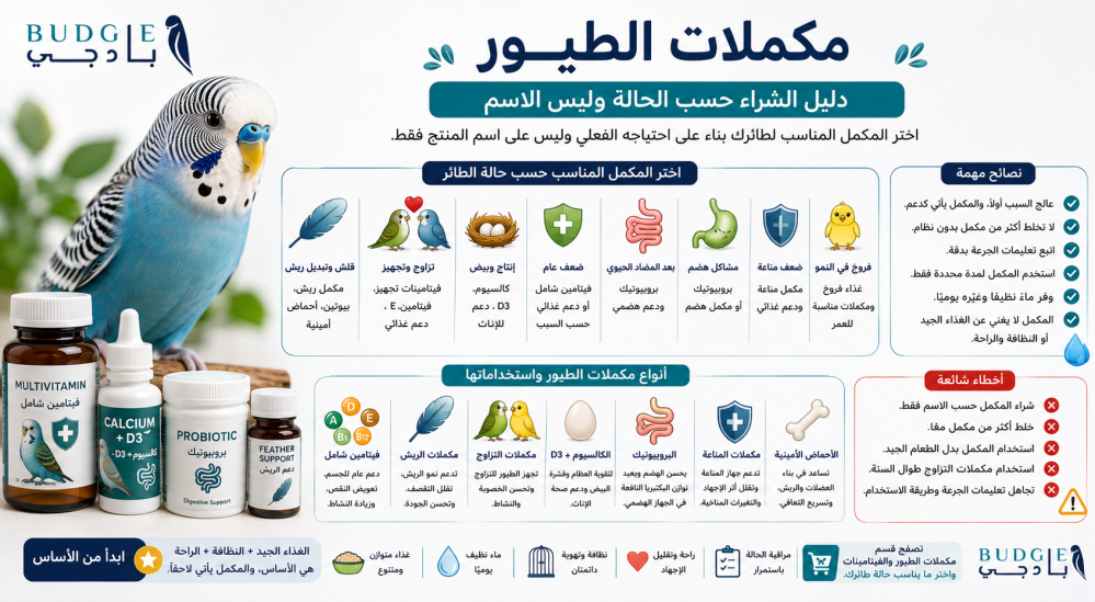 مكملات الطيور: دليل الشراء حسب الحالة وليس الاسم