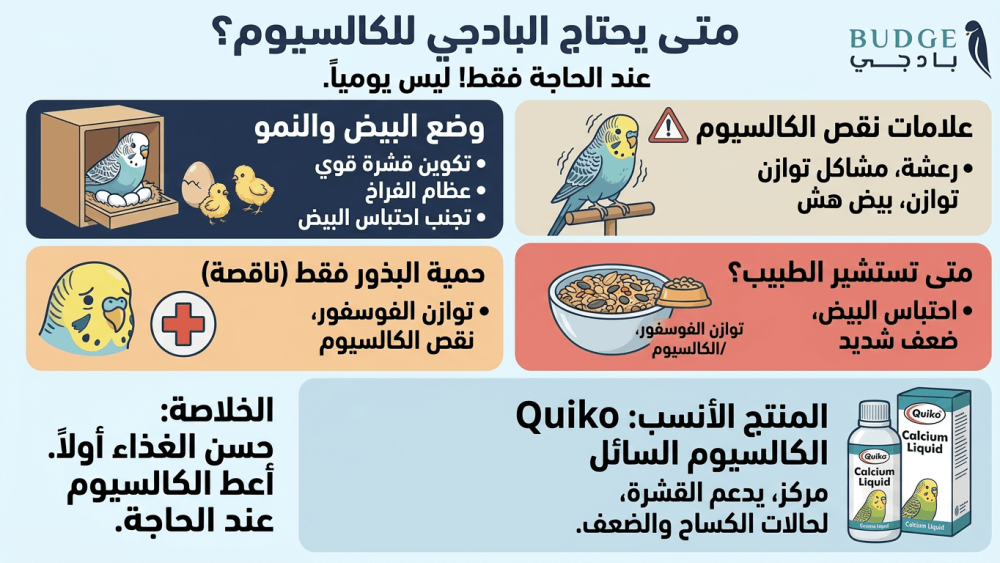 متى أعطي البادجي كالسيوم؟ علامات الاحتياج والوقت الصحيح