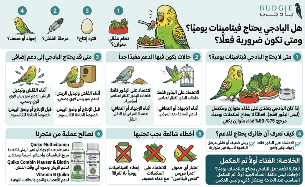 هل البادجي يحتاج فيتامينات يوميًا؟ ومتى تكون ضرورية فعلًا؟