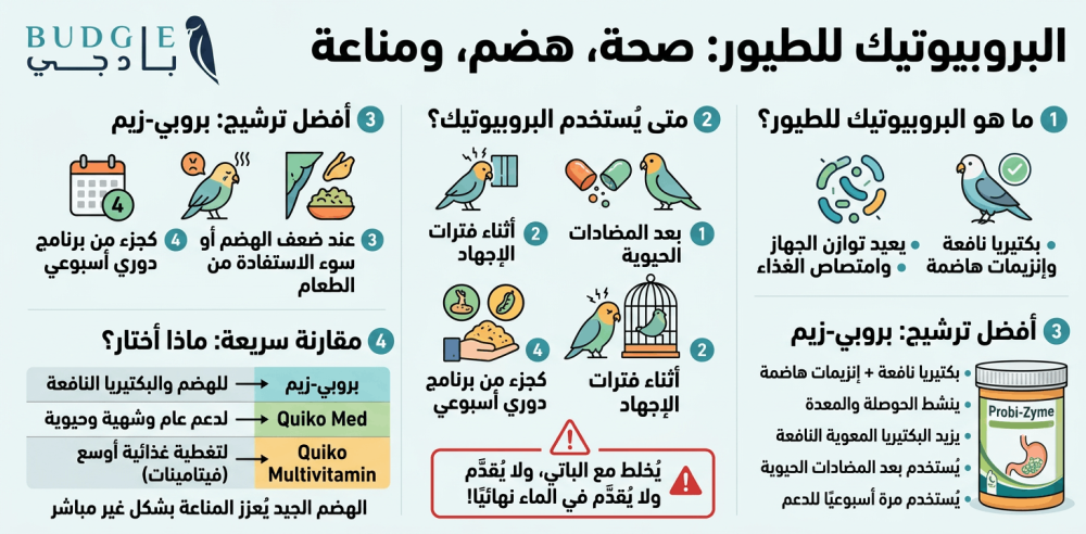 أفضل بروبيوتيك للطيور وفوائده للهضم والمناعة