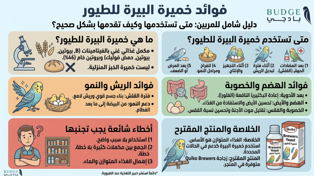 فوائد خميرة البيرة للطيور: متى تستخدمها وكيف تقدمها بشكل صحيح؟