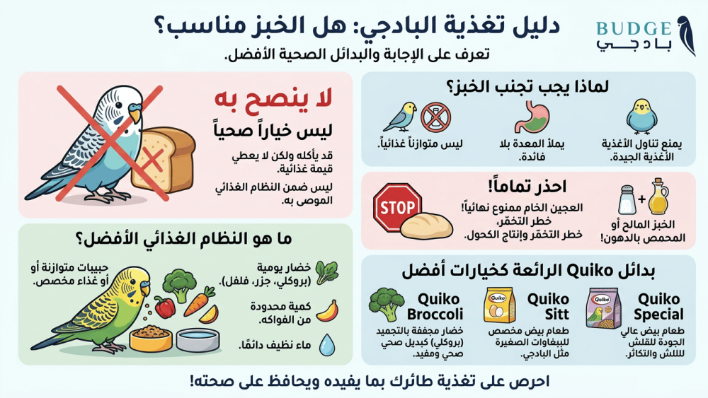 هل البادجي يأكل الخبز؟ وما الأطعمة البديلة الأفضل؟