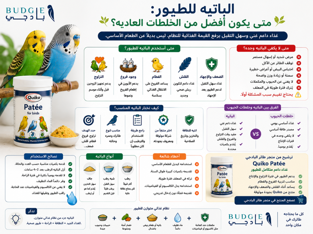 الباتيه للطيور: متى يكون أفضل من الخلطات العادية؟