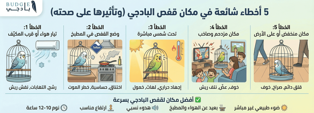 5 أخطاء شائعة في مكان قفص البادجي وتأثيرها على صحته