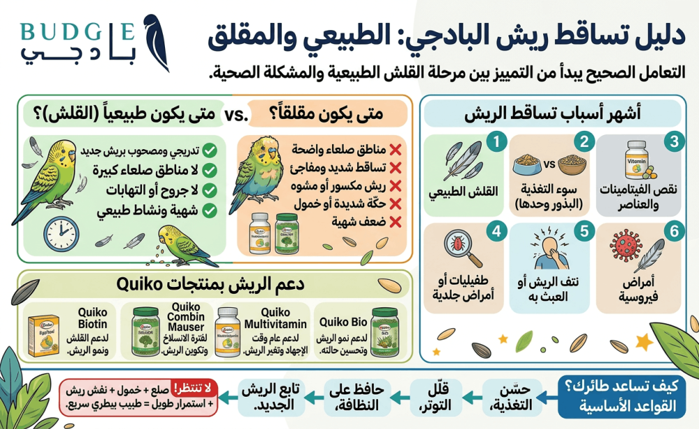 تعرف على أسباب تساقط ريش البادجي، وكيف تفرق بين القلش الطبيعي وتساقط ا