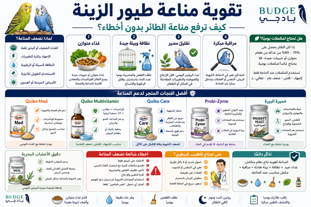 تقوية مناعة طيور الزينة: كيف ترفع مناعة الطائر بدون أخطاء؟