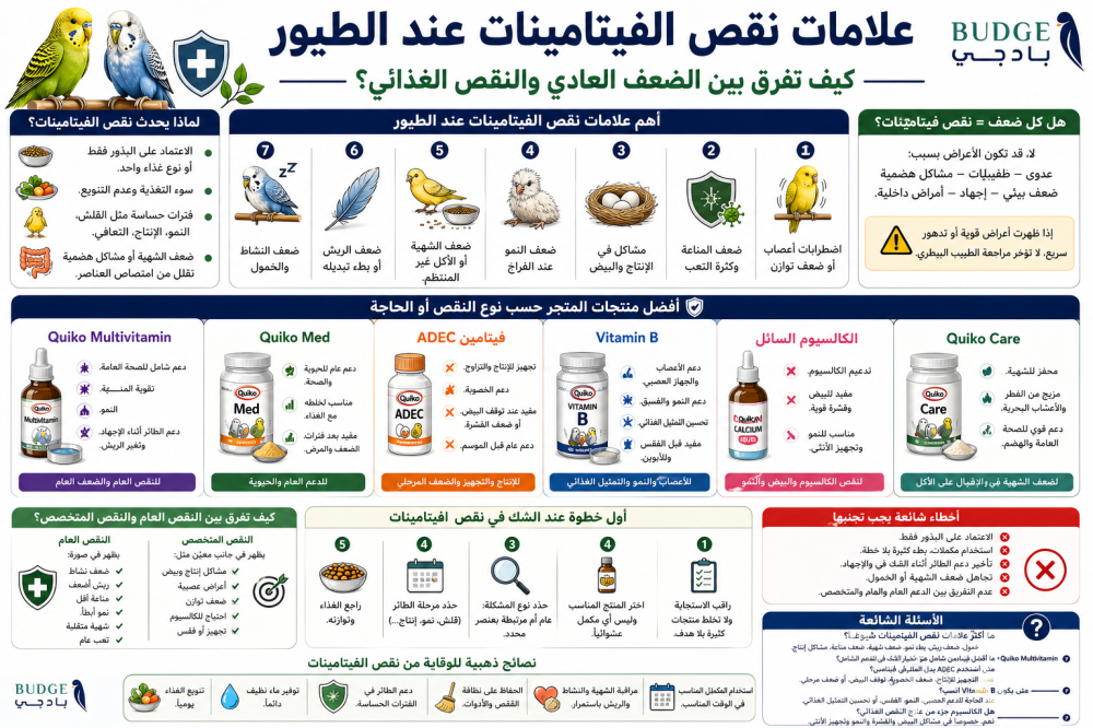 علامات نقص الفيتامينات عند الطيور: كيف تفرق بين الضعف العادي والنقص الغذائي؟