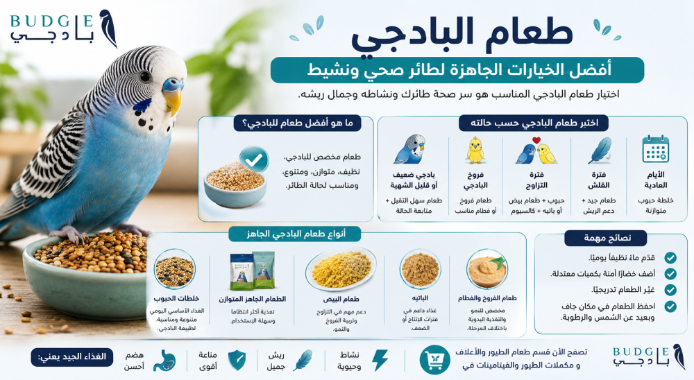 طعام البادجي: أفضل الخيارات الجاهزة لطائر صحي ونشيط