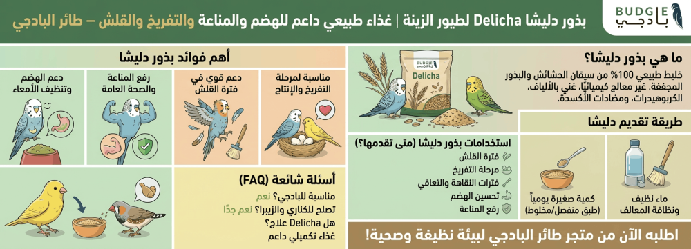 بذور دليشا Delicha لطيور الزينة | غذاء طبيعي داعم للهضم والمناعة والتف