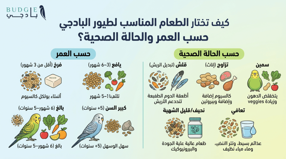 كيف تختار الطعام المناسب لطيور البادجي حسب العمر والحالة الصحية؟