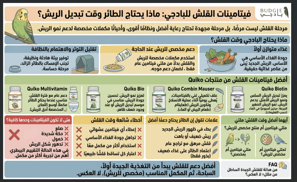فيتامينات القلش للبادجي: ماذا يحتاج الطائر وقت تبديل الريش؟