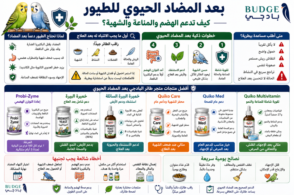 بعد المضاد الحيوي للطيور: كيف تدعم الهضم والمناعة والشهية؟
