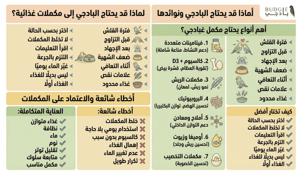 أهم المكملات الغذائية لطيور البادجي وفوائدها | دليل شامل للمربين
