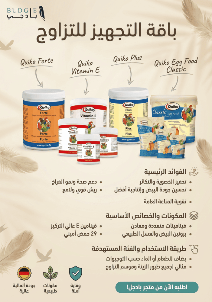 باقة التجهيز للتزاوج: أفضل برنامج متكامل لرفع خصوبة طائر البادجي وتجهيز الأزواج للإنتاج