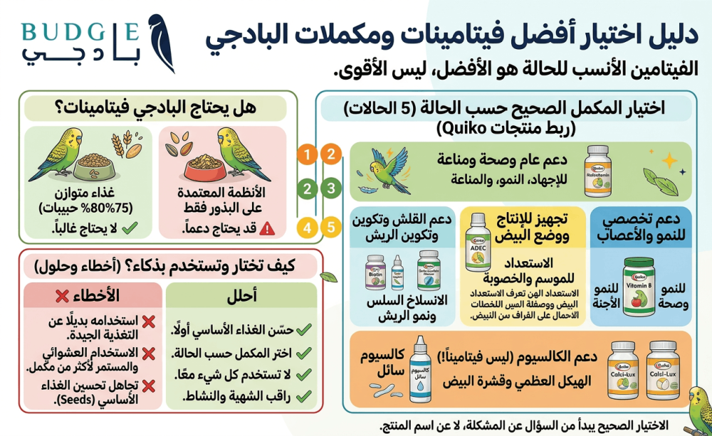 دليل فيتامينات البادجي: ما الأفضل؟ ومتى تعطي كل نوع؟