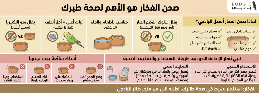 لماذا صحن الفخار خيار ذهبي لصحة طائر البادجي؟