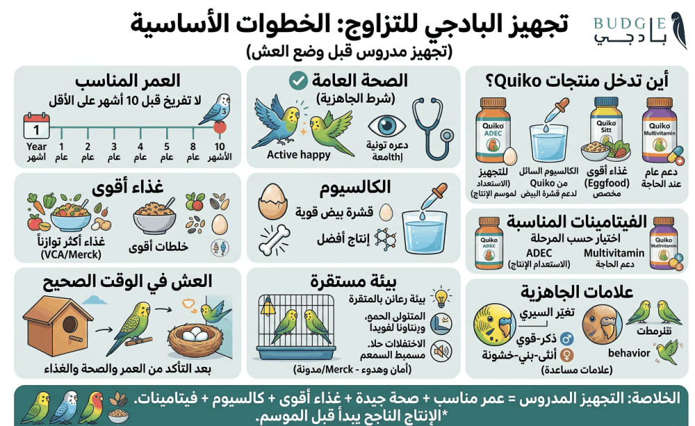 تجهيز البادجي للتزاوج: الغذاء والفيتامينات والعش المناسب