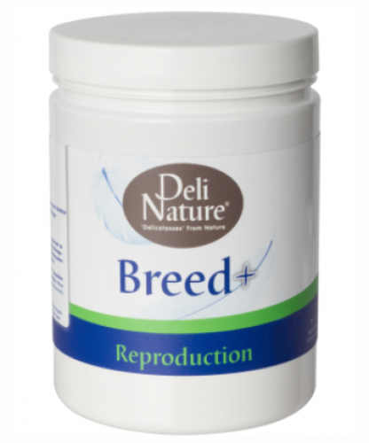 Breed Deli Nature