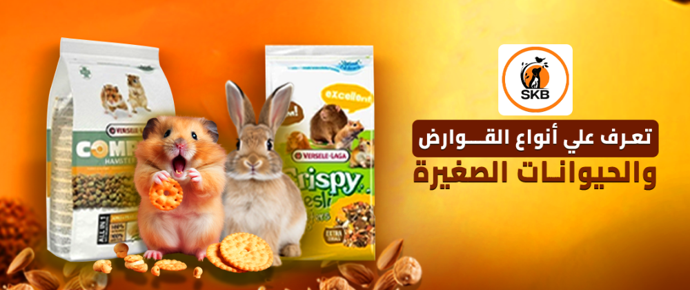 تعرف علي أنواع القوارض والحيوانات الصغيرة