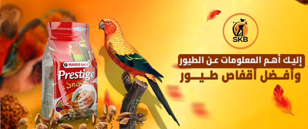 إليك أهم المعلومات عن الطيور وأفضل أقفاص طيور