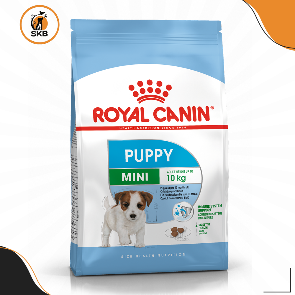 رويال كانين طعام جاف لكلاب الميني بوبي بوزن 10 كيلو أو أقل