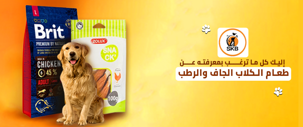 إليك كل ما ترغب بمعرفته عن طعام الكلاب الجاف والرطب