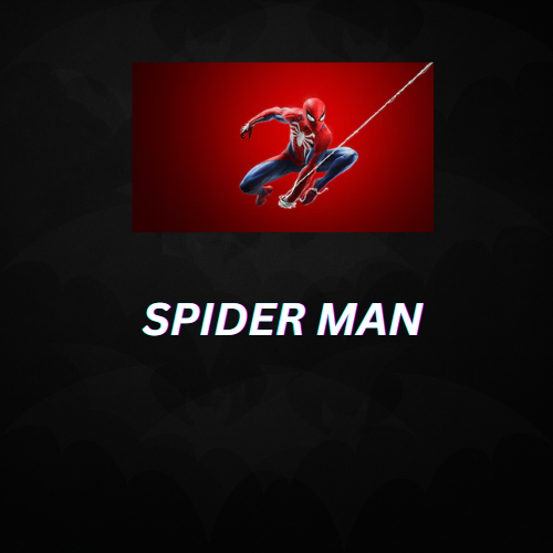 SPIDER MAN