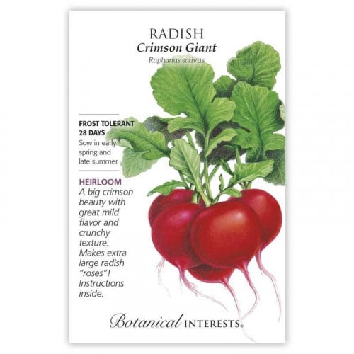 بذور فجل عملاق - Crimson Giant Radish Seeds
