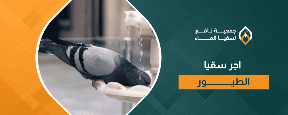 اجر سقيا الطيور