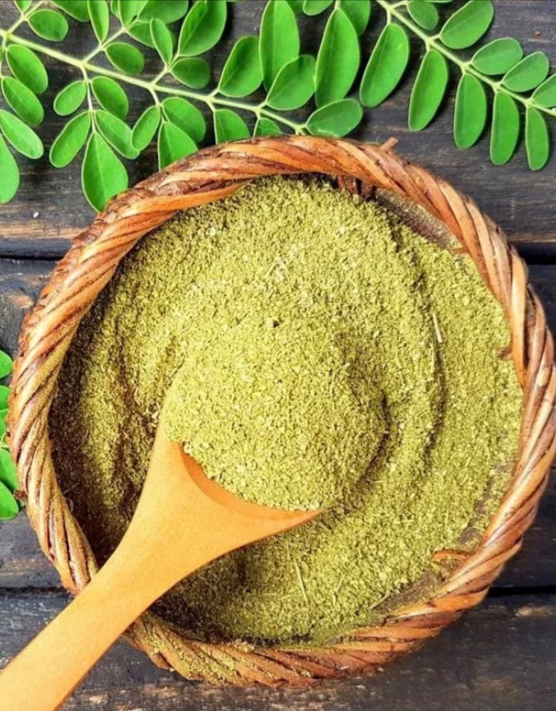 عشبه المورينجا