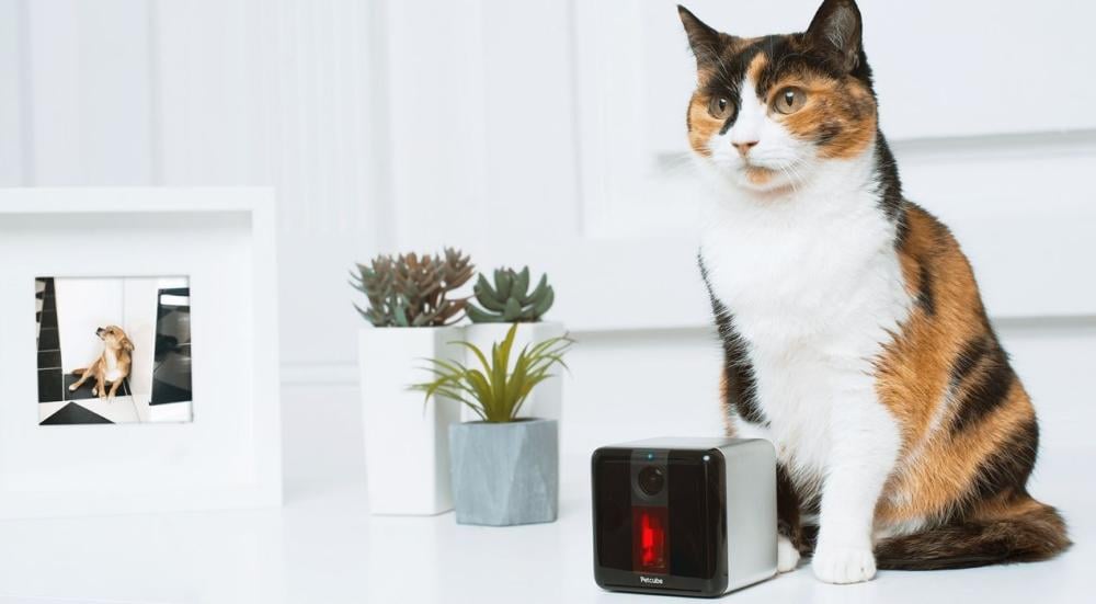 The latest animal devices
