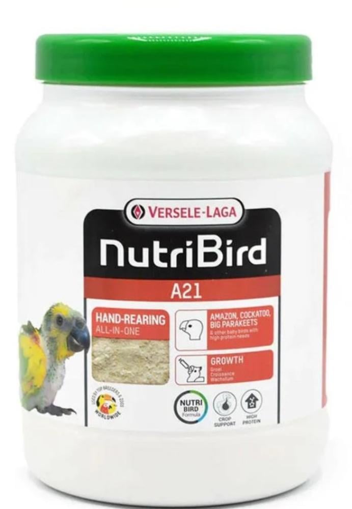 800gr تاريخ جديد