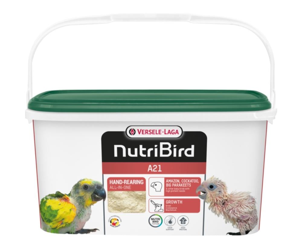 3kg تاريخ جديد