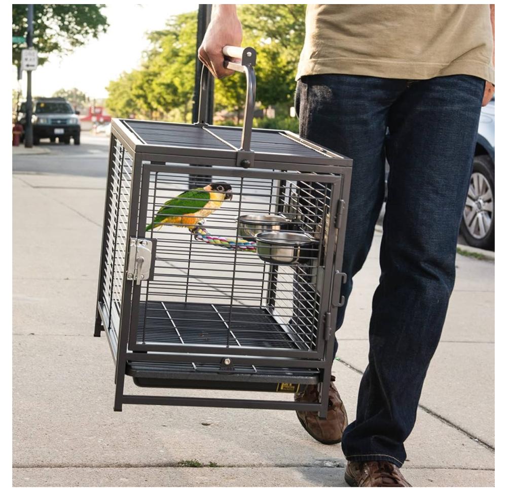 قفص طيور قفص ببغاء حديدي لتربية الطيور - حجم كبير لطيور المتوسطه والكب