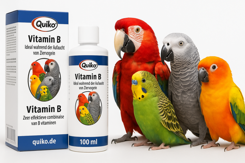 فيتامين ب للطيور، كويكو فيتامين ب، دعم أعصاب الطيور، علاج رجفة الطيور،