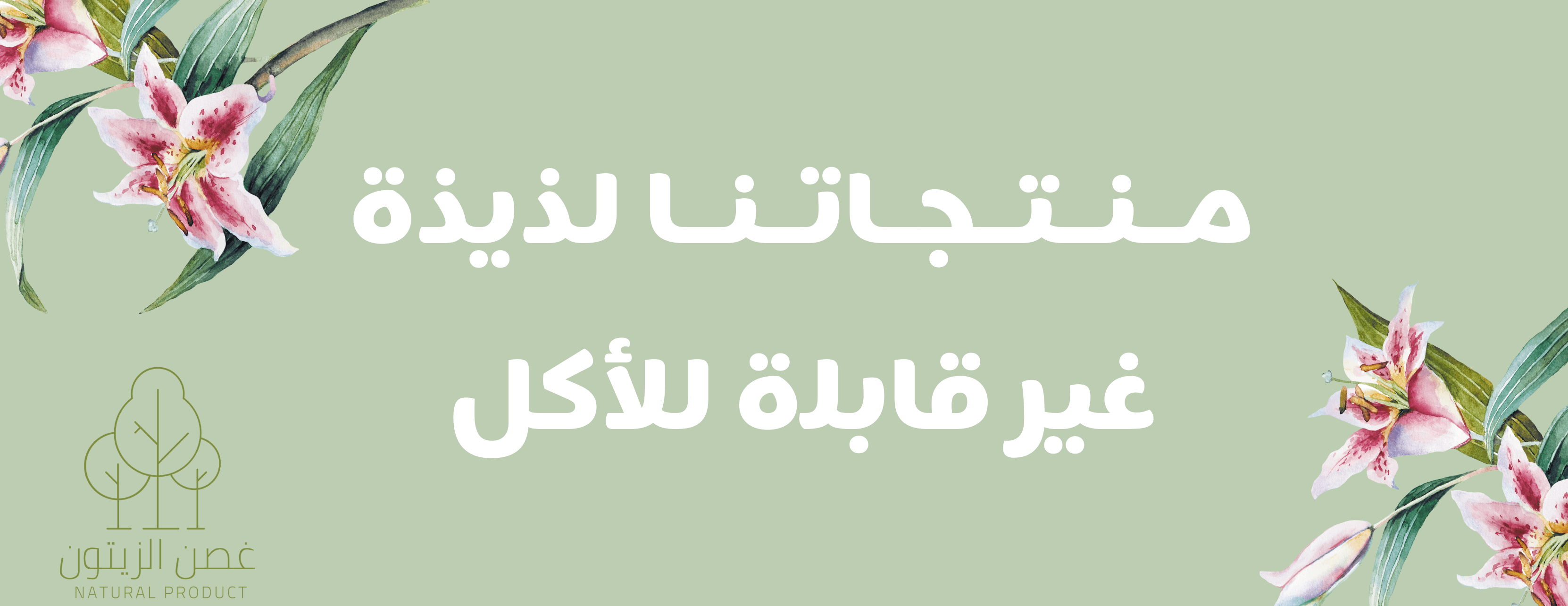 ghosn_ksa image-slider-0