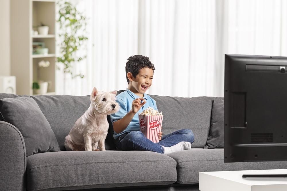 اختيار أفضل متجر IPTV بث ثابت، باقات شهرية وسنوية، ودعم فوري