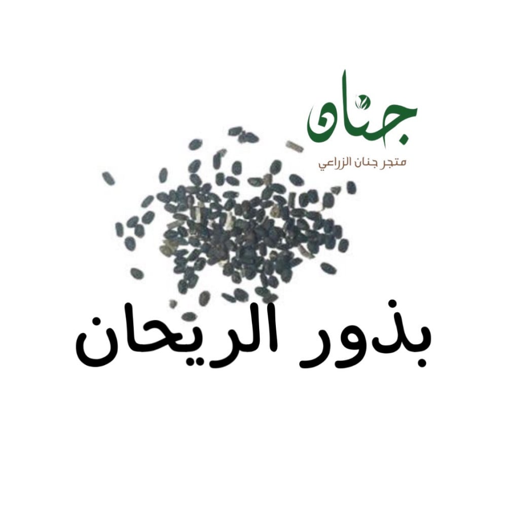 بذور الريحان