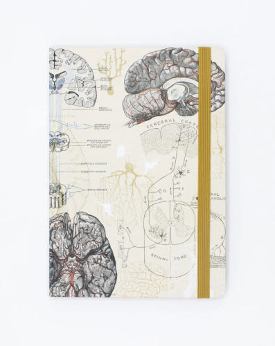 Neuroscience A5 Notebook