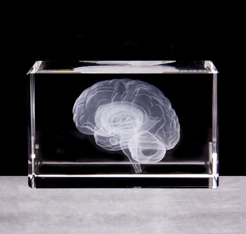 3D Brain Crystal Model