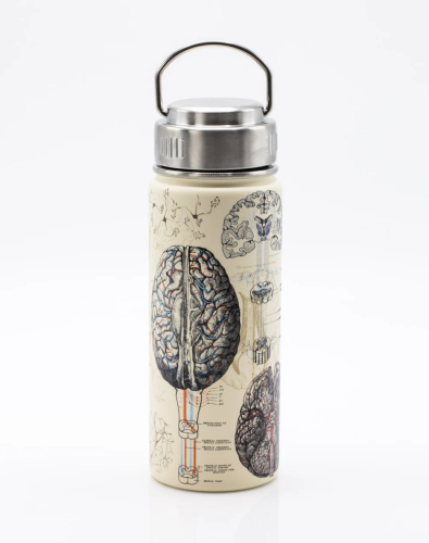 Neuroscience  STEEL BOTTLE 500 ML