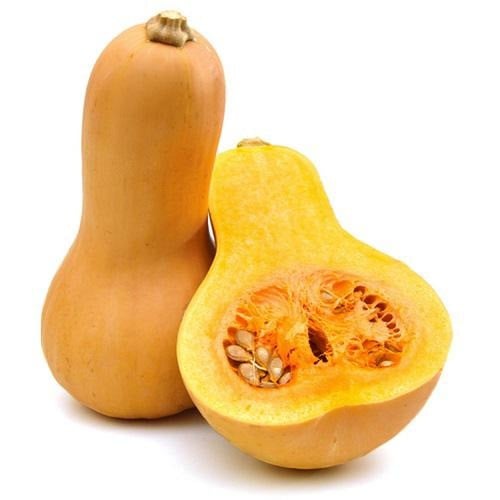 قرع أمريكي