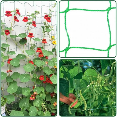 شبكة تسلق النباتات