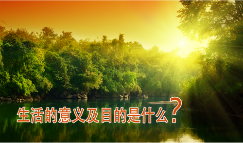 100 بطاقة متنوعة باللغة الصينية