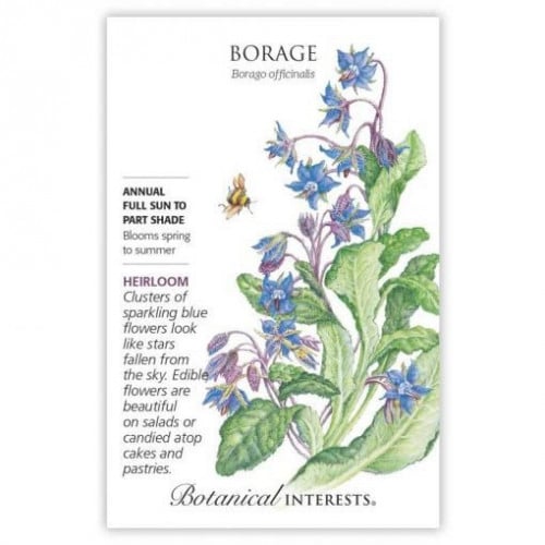 بذور لسان الثور بوراج - Borage Seeds