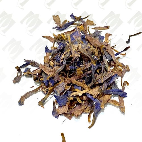 عشبه لسان الثور مجففة