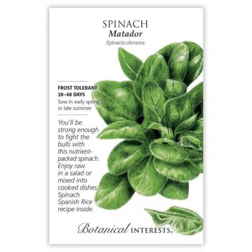 بذور سبانخ ماتادور - Matador Spinach Seeds