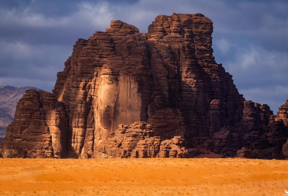 اجمل اللوحات الجدارية: دليل شامل لاختيار أفضل التصاميم لمنزلك