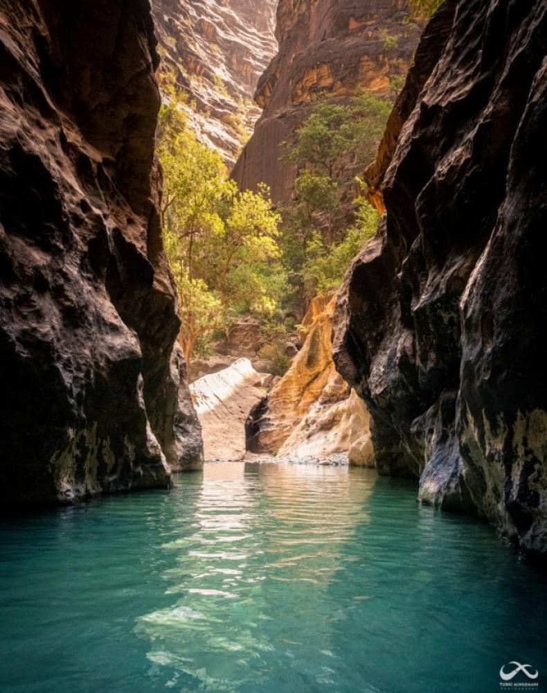 وادي لجب في جازان: جنة الطبيعة المعلقة بين جبال القهر